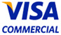 Visa International (Asia Pacific) LLC